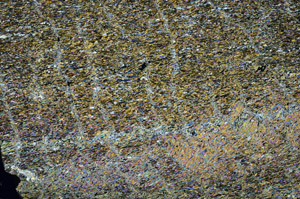 Cross Polarized, N6921