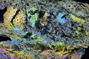 Cross Polarized, N6924