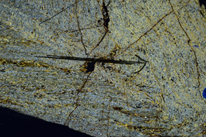 Cross Polarized, N6940