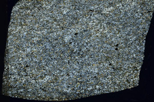 Cross Polarized, N6941