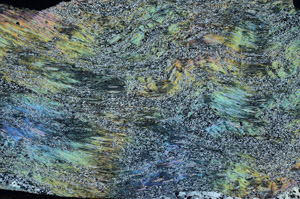 Cross Polarized, N6942