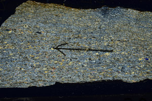 Cross Polarized, N6944