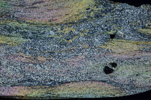 Cross Polarized, N6946