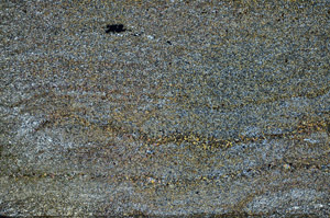 Cross Polarized, N6948