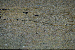 Cross Polarized, N6949