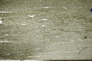 Plane Polarized, N6949