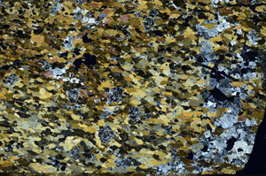 Cross Polarized, N6953