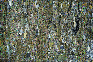 Cross Polarized, N6961