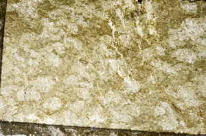 Plane Polarized, N6962