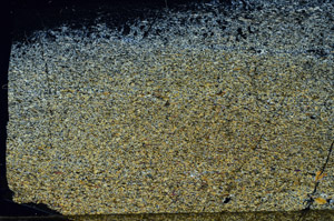 Cross Polarized, N6965