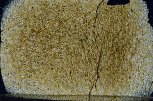 Cross Polarized, N6969