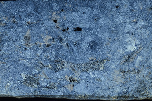 Cross Polarized, N6970