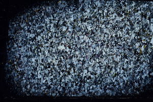 Cross Polarized, N6988
