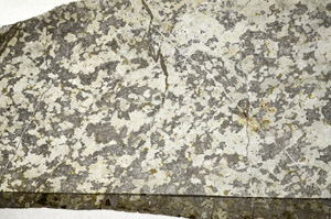 Plane Polarized, N7008/A