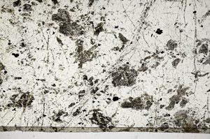 Plane Polarized, N7023