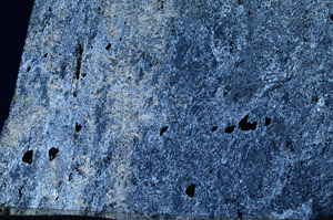 Cross Polarized, N7025