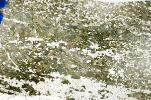 Plane Polarized, N7028