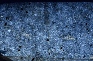 Cross Polarized, N7032