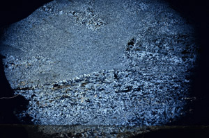 Cross Polarized, N7035