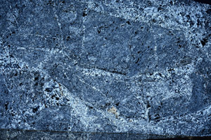 Cross Polarized, N7037