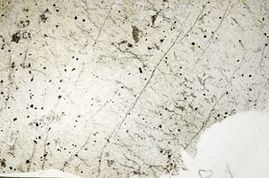 Plane Polarized, N7044