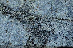 Cross Polarized, N7053