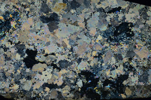 Cross Polarized, N7064