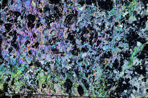 Cross Polarized, N7073