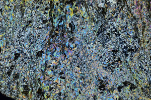 Cross Polarized, N7085