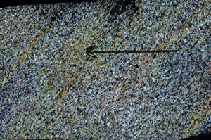Cross Polarized, N7107