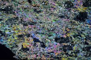 Cross Polarized, N7109