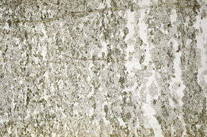 Plane Polarized, N7112