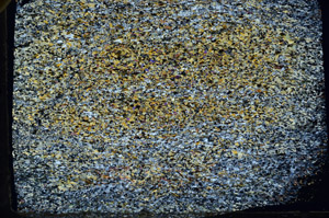 Cross Polarized, N7125