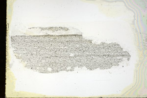 Plane Polarized, N7142/A
