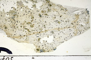 Plane Polarized, N7146