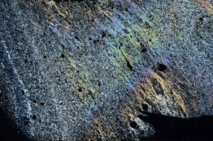Cross Polarized, N7147
