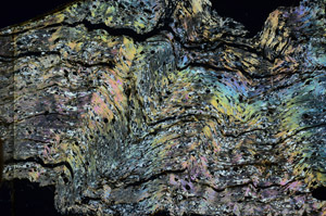 Cross Polarized, N7149