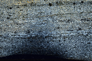 Cross Polarized, N7157