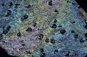 Cross Polarized, N7160