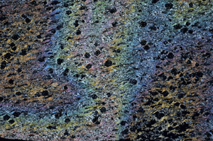 Cross Polarized, N7161