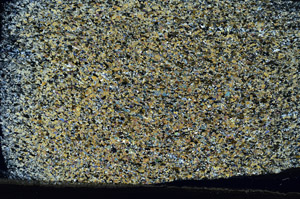 Cross Polarized, N7169
