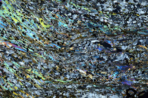 Cross Polarized, N7194