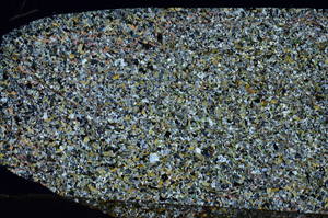 Cross Polarized, N7200/A
