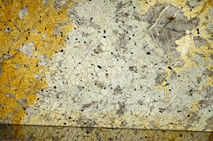 Plane Polarized, N7218