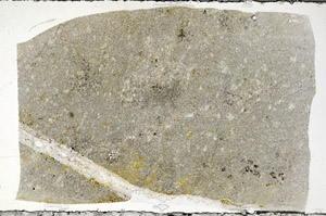 Plane Polarized, N7219