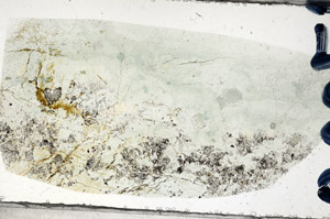 Plane Polarized, N7224