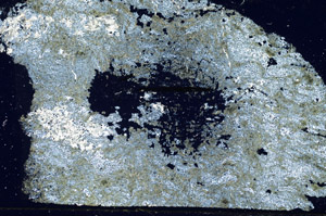 Cross Polarized, N7227