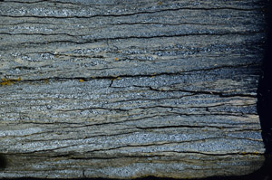 Cross Polarized, N7249