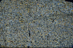 Cross Polarized, N7251