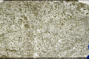 Plane Polarized, N7251
